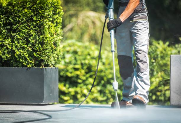 Best Oil Spill Cleanup  in Dorr, MI