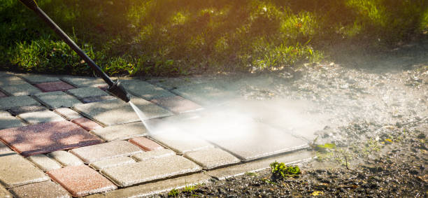Best Rust Removal  in Dorr, MI