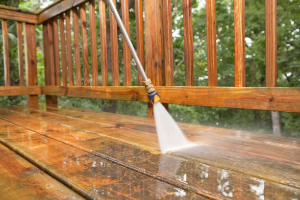 Best Gutter Cleaning  in Dorr, MI